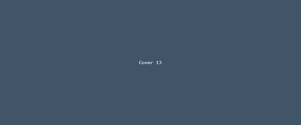 Marketing Agencies Co. — Seed 13