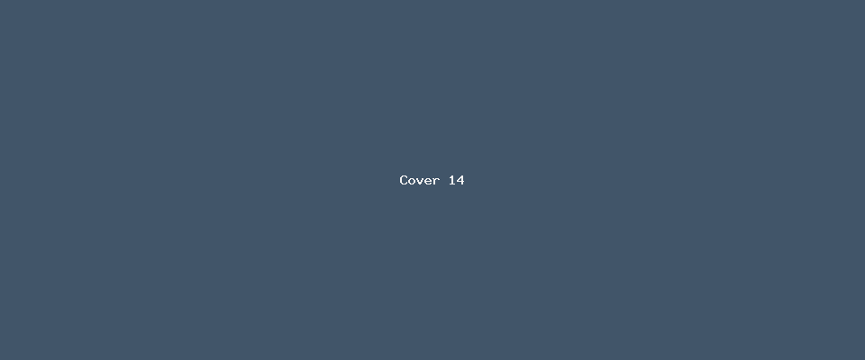 IT Consultants Co. — Seed 14 cover